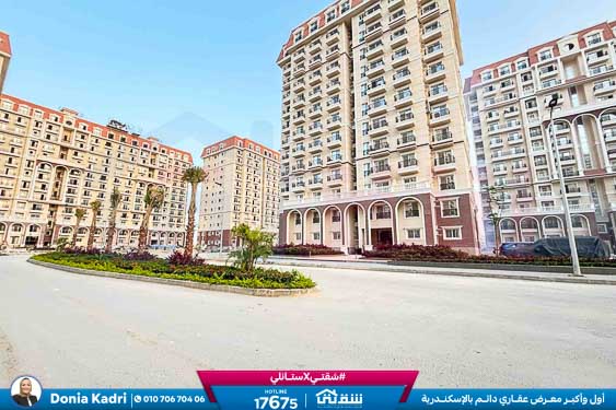 WhatsApp Image 2025-12-27 at 13.21.39