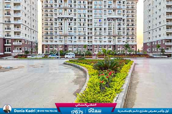 WhatsApp Image 2025-12-27 at 13.21.40 (2)