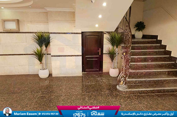 WhatsApp Image 2025-12-27 at 15.32.20