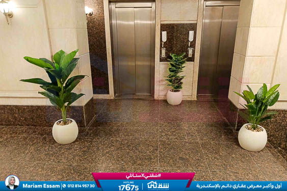 WhatsApp Image 2025-12-27 at 15.32.22