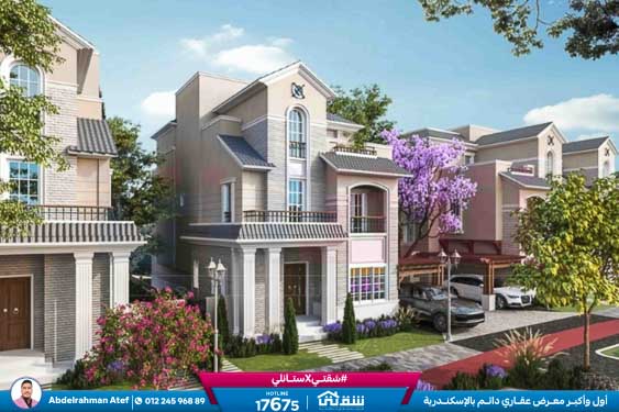 WhatsApp Image 2025-12-28 at 11.20.18 (1)