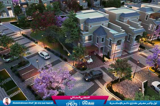 WhatsApp Image 2025-12-28 at 11.20.21