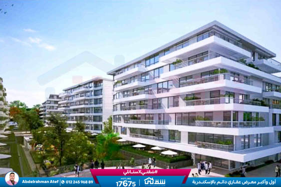 WhatsApp Image 2025-12-28 at 12.50.07