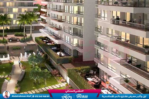 WhatsApp Image 2025-12-28 at 12.50.08 (1)