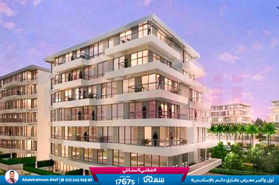 WhatsApp Image 2025-12-28 at 12.50.08