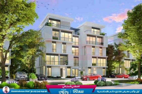 WhatsApp Image 2025-12-28 at 12.50.10 (1)