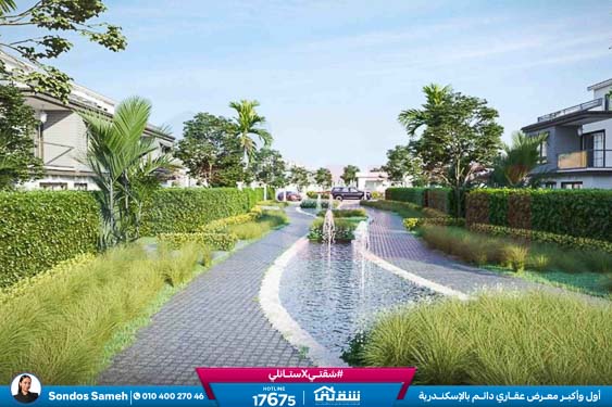 WhatsApp Image 2025-12-28 at 16.00.48