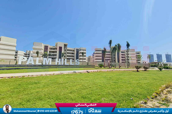 WhatsApp Image 2025-12-29 at 09.39.41 (1)