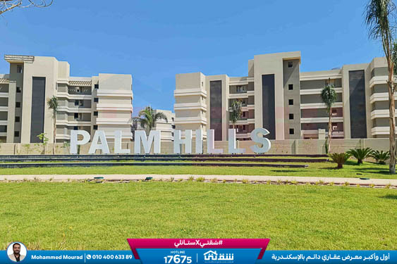 WhatsApp Image 2025-12-29 at 09.39.41