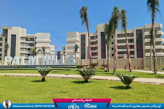 WhatsApp Image 2025-12-29 at 09.39.42 (1)