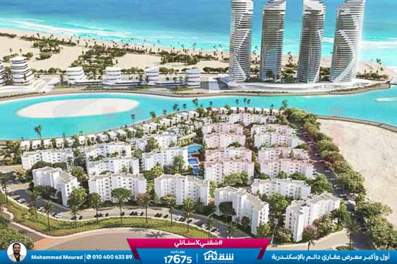 WhatsApp Image 2025-12-29 at 09.39.42 (2)