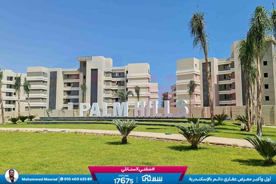 WhatsApp Image 2025-12-29 at 09.39.42