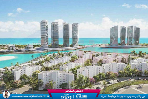 WhatsApp Image 2025-12-29 at 09.39.43