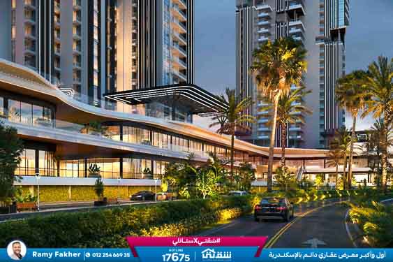 WhatsApp Image 2025-12-29 at 15.57.08