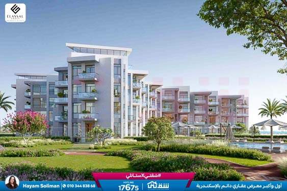 WhatsApp Image 2025-12-29 at 16.23.15