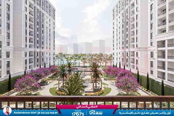 WhatsApp Image 2025-12-29 at 16.36.31