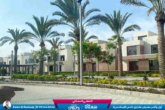 WhatsApp Image 2025-12-30 at 10.00.42 (1)