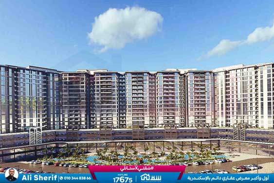 WhatsApp Image 2025-12-30 at 11.45.17 (1)