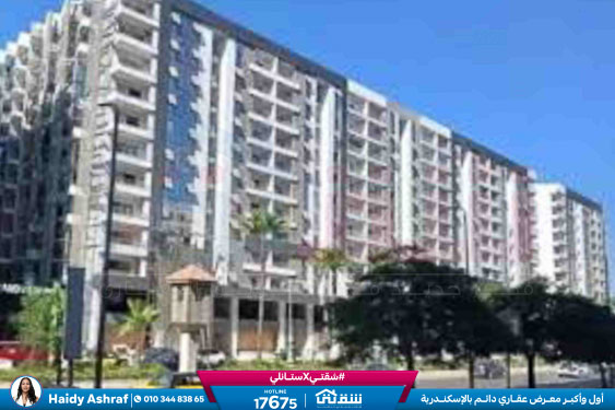 WhatsApp Image 2025-12-30 at 12.23.21