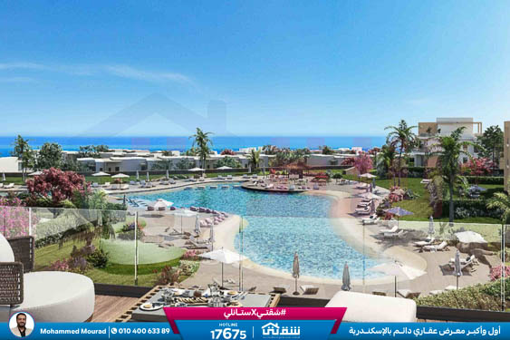 Beach chalet - 3 Bedrooms + 65 Garden-4