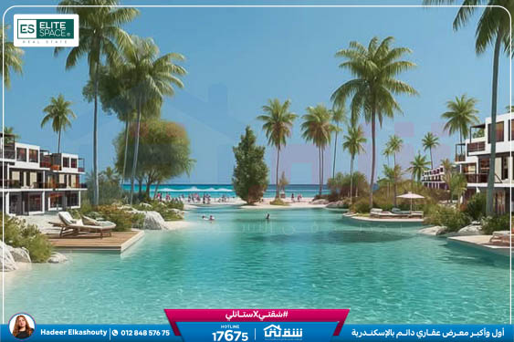 IMG-20250705-WA0098-3