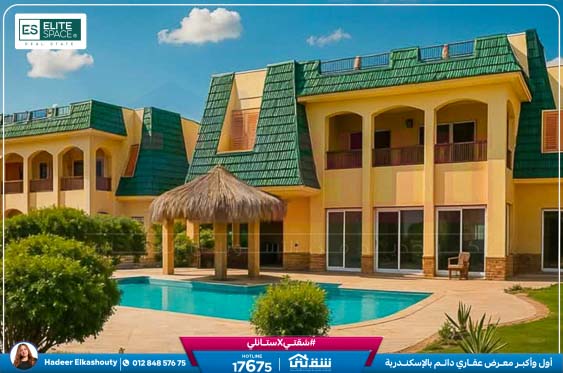 IMG-20250705-WA0099-3