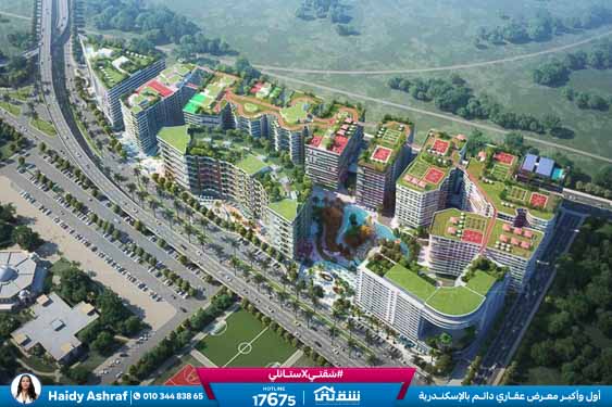 WhatsApp Image 2021-11-15 at 12.56.48 PM (1)