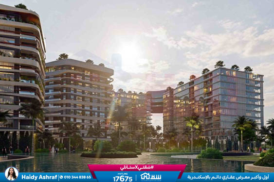 WhatsApp Image 2021-11-15 at 12.56.48 PM