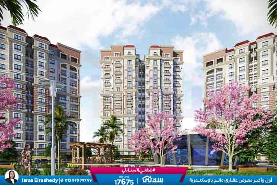 WhatsApp Image 2021-12-28 at 2.08.02 PM (1)