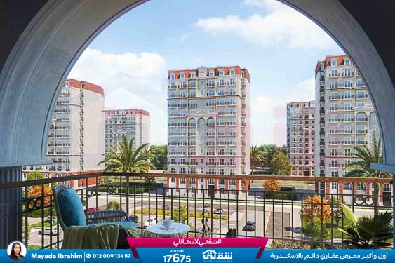 WhatsApp Image 2022-10-24 at 05.13.13