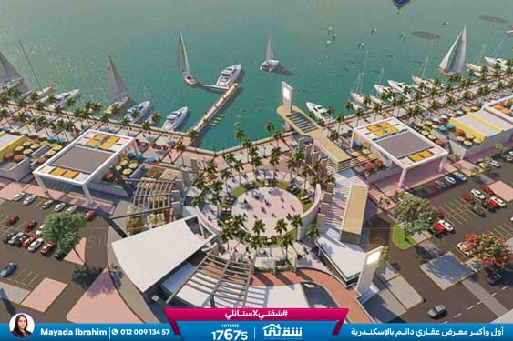 WhatsApp Image 2022-10-24 at 05.18.42