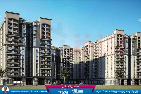 WhatsApp Image 2024-07-01 at 6.48.03 AM