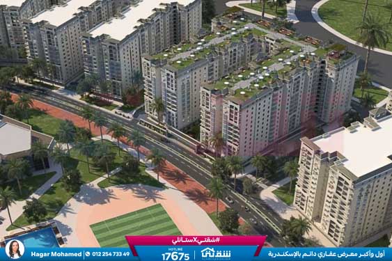 WhatsApp Image 2024-07-01 at 6.48.10 AM (1)