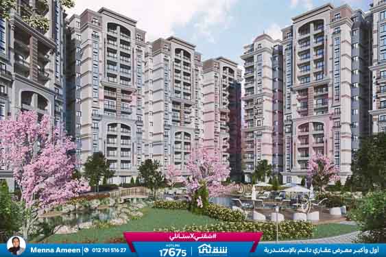 WhatsApp Image 2024-07-01 at 6.48.10 AM