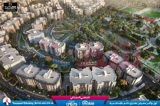 WhatsApp Image 2024-08-12 at 9.46.13 AM