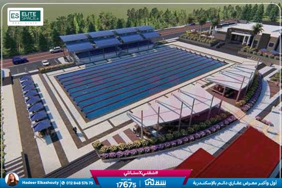 WhatsApp Image 2024-08-12 at 9.46.20 AM (1)