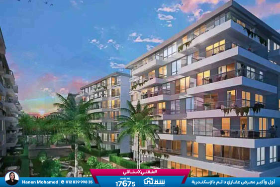 WhatsApp Image 2024-08-28 at 4.29.03 PM