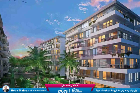 WhatsApp Image 2024-08-28 at 4.29.03 PM