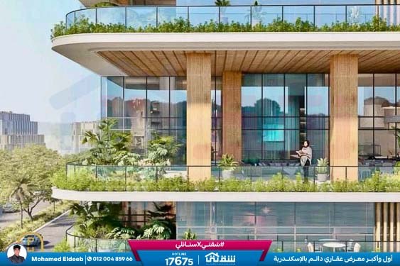 WhatsApp Image 2024-10-26 at 2.47.38 AM