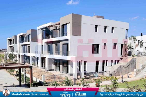 WhatsApp Image 2024-11-27 at 1.14.01 PM