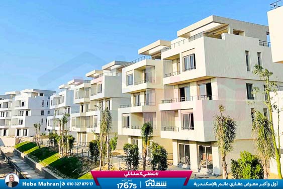 WhatsApp Image 2024-12-06 at 3.47.21 AM (1)