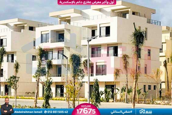 WhatsApp Image 2024-12-06 at 3.47.21 AM