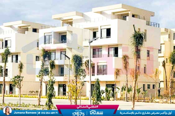 WhatsApp Image 2024-12-06 at 3.47.21 AM