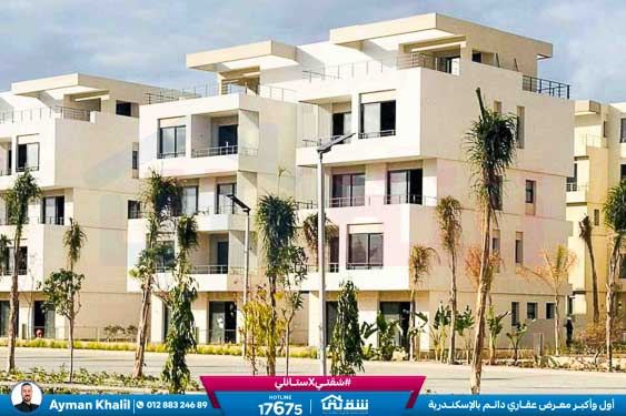 WhatsApp Image 2024-12-06 at 3.47.21 AM