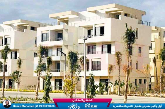 WhatsApp Image 2024-12-06 at 3.47.21 AM