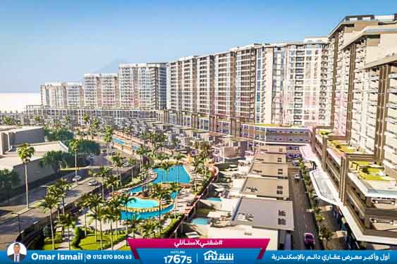 WhatsApp Image 2024-12-08 at 8.30.53 PM