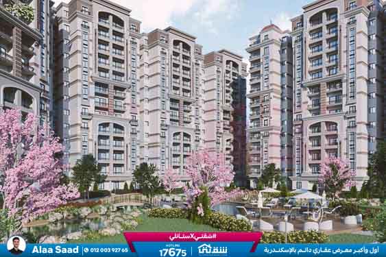 WhatsApp Image 2024-12-09 at 6.50.13 PM