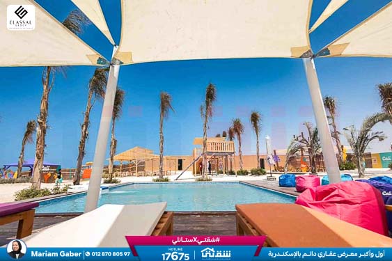 WhatsApp Image 2024-12-21 at 13.34.24_77b38e6b