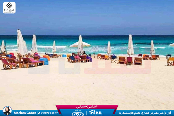 WhatsApp Image 2024-12-21 at 13.34.25_2c7e30e4