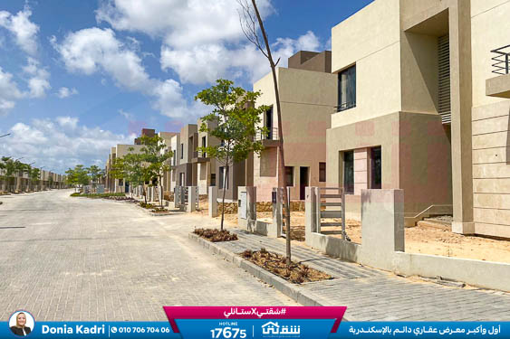 WhatsApp Image 2025-02-13 at 2.50.22 PM (1)